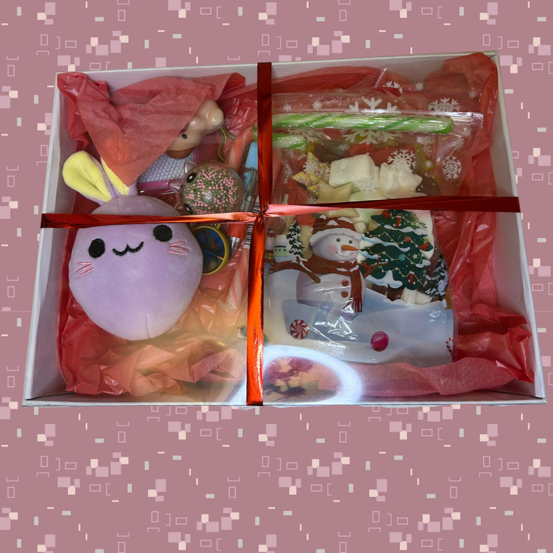 🎄 The Cute Squishy One – Christmas Gift Box 🎁✨