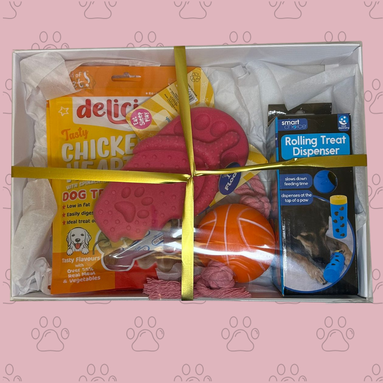 🐾 The Dog Treat One – Christmas Gift Box for Dogs 🎁🐶