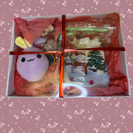 🎄 The Cute Squishy One – Christmas Gift Box 🎁✨