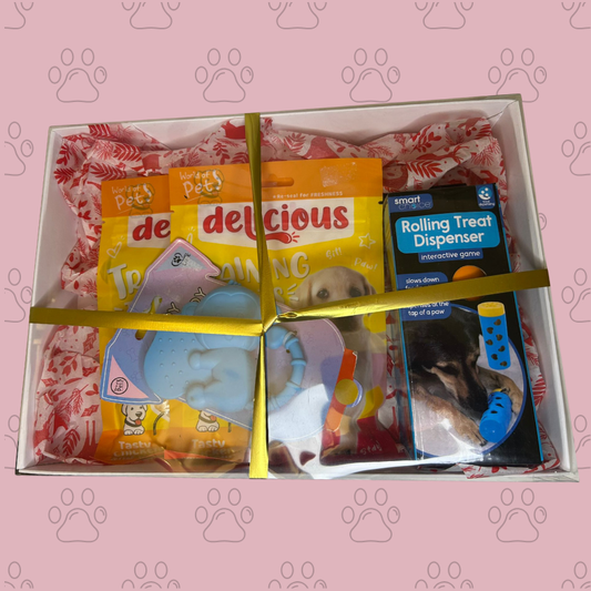 🐶 The Puppy One – Training Treat & Play Gift Box