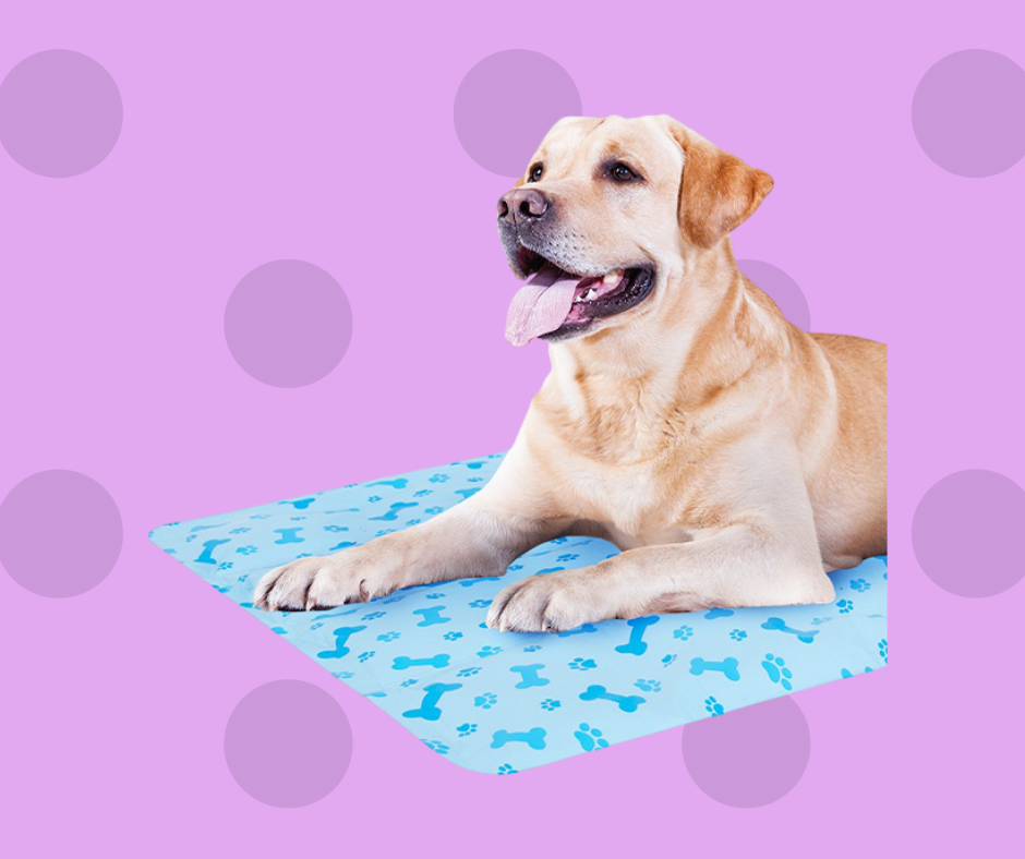 Pet Cooling Mat