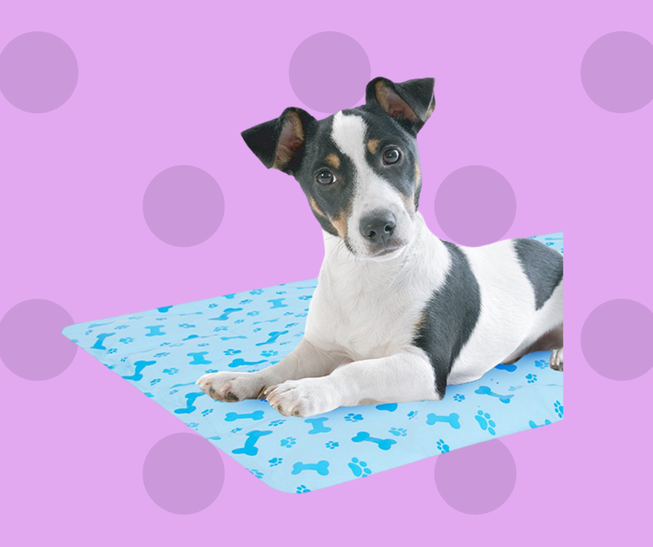 Pet Cooling Mat